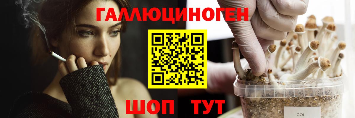 ГАШ  КОКАИН  Хабаровск  Меф   ГАШ  ЭКСТАЗИ  Марихуана  Вход с VPN  Как найти наркотики? 